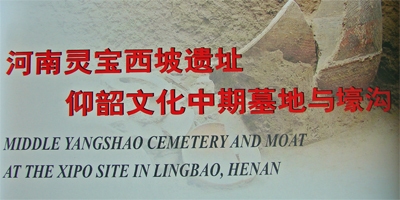 2005y5.jpg
